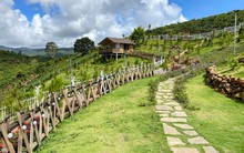 Buộc tháo dỡ nhà trái phép tại khu đất Ngọc Trinh nói mua ở Bảo Lộc