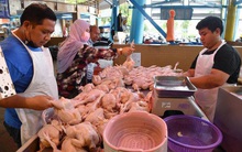 Làn sóng bảo hộ làm trầm trọng thêm khủng hoảng lương thực?