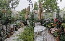 Khu vườn sân thượng 40m² được mẹ đảm thành phố tự tay làm từ A đến Z, khiến bạn ngắm không biết chán