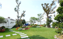 Choáng ngợp biệt thự hoa lan "Năm Cánh Trắng Kinh Bắc" rộng 1.000m2 nổi tiếng tại Bắc Ninh