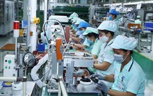 19,7 nghìn doanh nghiệp thành lập mới và quay trở lại hoạt động mỗi tháng