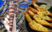 Loại tôm giá 950k/kg, đắt hơn cả tôm hùm được nhiều người "săn lùng" về thưởng thức