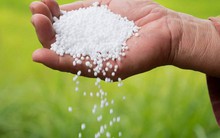 Bộ Tài chính đề xuất áp thuế xuất khẩu 5% với phân bón: Có doanh nghiệp xuất khẩu thu 2.200 tỷ trong quý 1 năm nay, tăng tới 450%