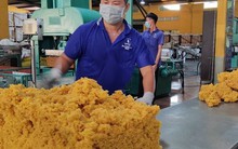 Doanh nghiệp cao su kín đơn hàng đến cuối năm