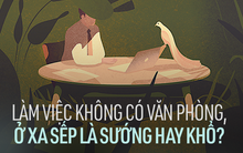 Cuộc sống “thoát ly” khỏi văn phòng: Vác máy ra biển họp nếu thích, nhưng 4h sáng đồng nghiệp ở Nga đòi chỉnh báo cáo