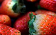 Mỹ, Canada bùng phát viêm gan A, nghi liên quan dâu tây hữu cơ