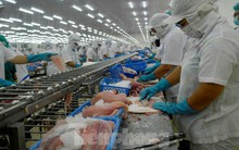 Giá cá tra xuất khẩu sang Mỹ lập đỉnh mới