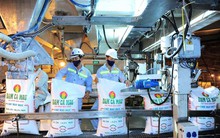 Giá phân bón lập mốc kỷ lục: Doanh nghiệp 'té nước theo mưa'?