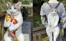 Dân mạng Nhật Bản 'phát cuồng' với chiếc ba lô hình mèo chân thật đến từng sợi lông, giá 23 triệu/chiếc vẫn không còn hàng để bán