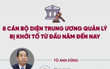 8 cán bộ diện Trung ương quản lý bị khởi tố từ đầu năm đến nay