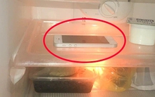 Đãng trí bỏ quên điện thoại trong tủ lạnh hóa ra lại có những lợi ích thế này đây