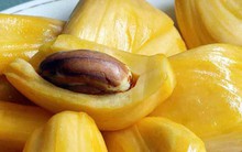 Người Nhật cực quý bộ phận này của quả mít: Phụ nữ ăn sẽ xóa mờ nếp nhăn, khỏe nội tạng, tốt cho sinh lý nhưng người Việt vẫn thường vứt bỏ