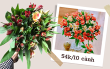 Chợ hoa online tấp nập set hoa thủy tiên, chị em bỏ 54k được 10 cành trang trí nhà cửa xinh tươi