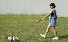 Làm 1 việc sau bữa ăn vừa tốt cho tim mạch lại ổn định đường huyết, người ngoài 50 tuổi nên làm thêm 2 việc có lợi không kém đi bộ