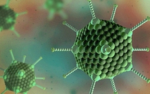 Viêm gan bí ẩn xuất hiện ở Đông Nam Á, bố mẹ Việt làm gì để bảo vệ con?