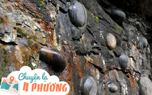 Vách đá thần kỳ cứ 30 năm lại “đẻ ra một lứa trứng": Cả trăm quả tròn đều như đúc, người nào sở hữu thì dễ phát tài