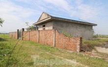 Nhà máy nước gần 20 tỷ đồng ở Nghệ An bị bỏ hoang, cỏ dại um tùm