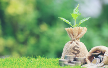 Lịch chốt quyền nhận cổ tức bằng tiền của 9 doanh nghiệp