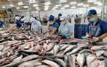 Tín hiệu tích cực từ xuất khẩu, lợi nhuận doanh nghiệp thủy sản có thể tiếp tục khả quan quý II