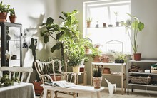 8 việc cần làm để bầu không khí trong gia đình bạn luôn trong lành, sạch sẽ