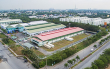 Long Hậu sẽ trả cổ tức tiền mặt tỷ lệ 19% trong tháng 7