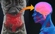 8 bộ phận cơ thể ẩn giấu nhiều điều thú vị mà đến chính bản thân bạn cũng không hề biết