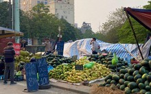 Chuyển đổi số giải quyết bài toán đầu ra cho nông sản chính vụ ĐBSCL