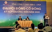 Họp ĐHĐCĐ EVNGENCO3: EVN có thể thoái vốn từ 2023, duy trì tỷ lệ chi phối trên 51%