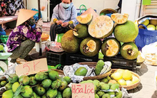 Nông sản ĐBSCL tìm kiếm đầu ra bền vững