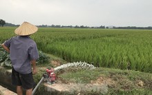 Trường đua ngựa trăm triệu USD đang ở đâu?