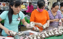 Ồ ạt rút BHXH một lần: Trả lại tuổi hưu cho người lao động