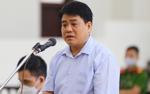 Được chị gái nộp 10 tỷ khắc phục hậu quả, ông Nguyễn Đức Chung có được giảm án?