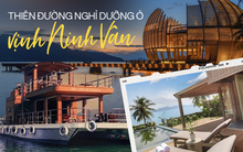 Ở vịnh Ninh Vân, có ‘thiên đường nghỉ dưỡng biệt lập’: Biệt thự gỗ ẩn hiện giữa biển trời; hiking, tắm suối xong có ‘đội quản gia’ và bếp 5 sao phục vụ ẩm thực giữa rừng
