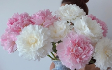 Chị em rộ thú chơi hoa mẫu đơn giá lên đến vài trăm 1 bông, nhưng chơi hoa còn phụ thuộc vào cách chọn bình khéo thế này