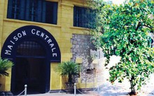 Thực hư thông tin cây bàng có tác dụng chữa bệnh, cứu sống hàng trăm chiến sỹ tại Nhà tù Hỏa Lò đang được các tour du lịch quảng bá?