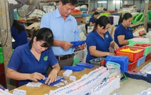 Ồ ạt rút BHXH một lần: Giảm tuổi nghỉ hưu thay vì giảm năm đóng