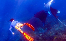 Đến Bali mà bỏ qua Nusa Penida thì thật đáng tiếc