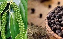Chỉ 1 nắm hạt tiêu nhỏ cũng có thể gây bất ngờ, tiếc là nhiều chị em chưa biết