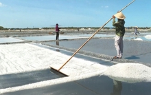 Muối được giá nhưng diêm dân mất mùa