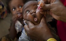 Họp khẩn đậu mùa khỉ chưa ngã ngũ, ủy ban khẩn cấp khác của WHO bất ngờ ra tuyên bố