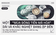 Một "mùa đông" dài và khắc nghiệt đang ập đến, Hiệp hội Blockchain Việt Nam ra mắt lúc này có đúng thời điểm?