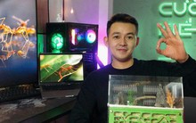 Độc lạ "thú chơi" nuôi kiến cảnh của chàng TikToker triệu view