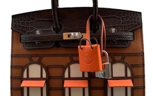 Túi Hermes Birkin: Từ 10.000 USD trong cửa hàng đến hơn 100.000 USD ở thị trường đồ cũ