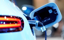 Trùm dầu khí cũng phải thừa nhận xe điện thống lĩnh tương lai, dự đoán không lâu nữa 100% xe dưới 10 chỗ sẽ chạy điện