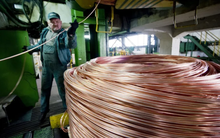 Giá kim loại chưa bao giờ 'thủng' mạnh đến thế kể từ thời kỳ Đại suy thoái