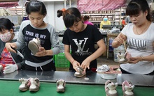 Ồ ạt rút BHXH một lần: Cái người lao động cần thì không sửa