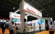 Đây là nhóm cổ phiếu không những tránh được cơn bão bán tháo trên phố Wall mà còn được dự báo tăng trưởng vượt trội trong 3 - 5 năm nữa