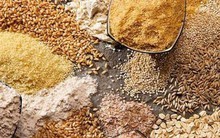 Nhiều công ty tăng giá thức ăn chăn nuôi