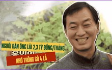 Làm ăn không thuận lợi, người đàn ông trồng cỏ cầu may rồi kiếm lời hơn 2 tỷ đồng/tháng