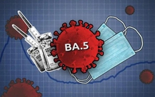 Biến chủng BA.5 xâm nhập vào Việt Nam liệu có gây bệnh nặng hơn?
